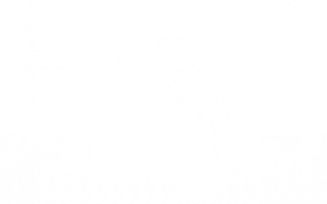 logo_transparent